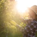 Best Practices for Preventing Fungal Outbreaks During the UK’s Rainy Season