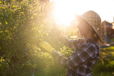 Best Practices for Preventing Fungal Outbreaks During the UK’s Rainy Season