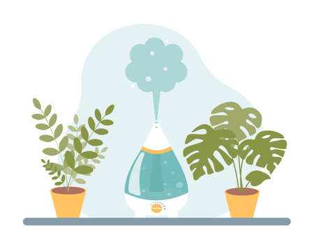 Growing Conditions and Year-Round Usability