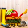 Essential Tools Every Allotment Shed Should Have and How to Store Them