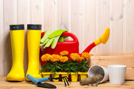 Essential Tools Every Allotment Shed Should Have and How to Store Them