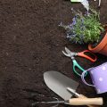 Involving Local Nurseries and Garden Centres in Promoting Peat-Free Compost