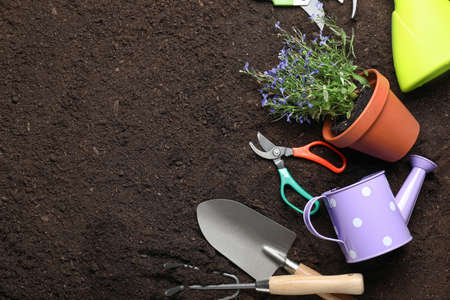 Involving Local Nurseries and Garden Centres in Promoting Peat-Free Compost