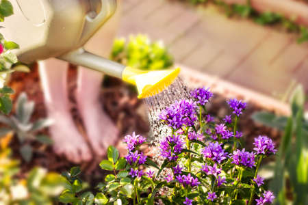 The Ultimate Guide to British Flower Gardening: A Seasonal Journey