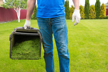 The Complete Guide to Lawn Care Maintenance: Monthly To-Do List