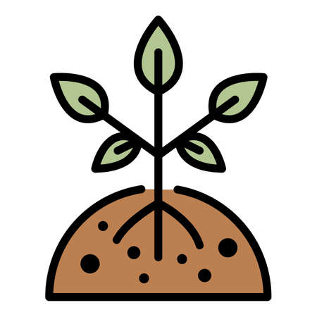 Step-by-Step Mulching Techniques