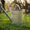 Greywater Recycling in UK Home Gardens: Legal, Practical, and Environmental Considerations