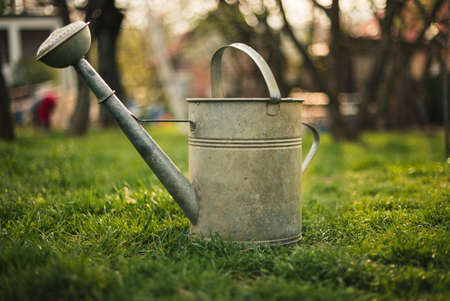 Greywater Recycling in UK Home Gardens: Legal, Practical, and Environmental Considerations