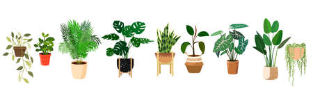 Managing Humidity: Ventilation Solutions for Year-Round Greenhouse Health in the UK