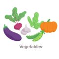 Understanding the UK Climate Zones: Best Times to Plant Popular Vegetables