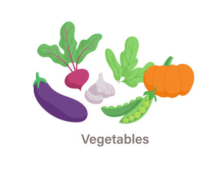 Understanding the UK Climate Zones: Best Times to Plant Popular Vegetables