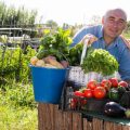 Understanding the Science of Composting for Allotment Gardeners in the UK