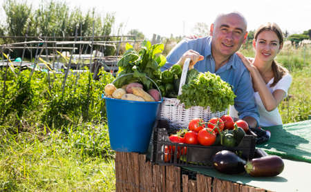 Understanding the Science of Composting for Allotment Gardeners in the UK