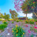 Historic Approaches to Seasonal Colour in British Garden Design