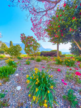 Historic Approaches to Seasonal Colour in British Garden Design