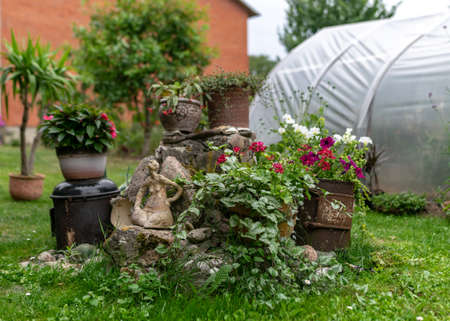 Homemade Solutions for Aphid Control: Natural Sprays that Really Work in British Gardens
