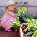 Organising Your Garden Shed for Rainy Day Readiness
