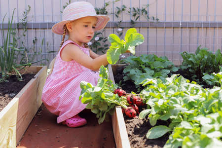 Organising Your Garden Shed for Rainy Day Readiness