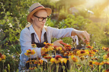 How to Maximise Summer Harvests on Your British Allotment