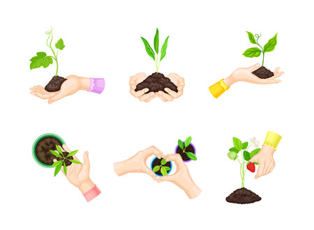Climatic Advantages for British Growers