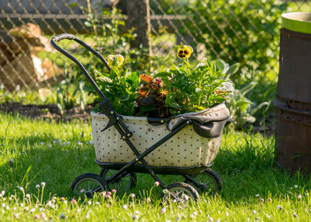 Preparing the Soil: Step-by-Step Techniques for Virgin Allotment Plots