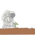 Soil, Compost, or Pellets? Exploring Propagation Media for British Indoor Seed Starting
