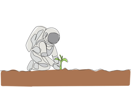 Soil, Compost, or Pellets? Exploring Propagation Media for British Indoor Seed Starting