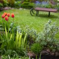 Year-Round Edible Planting for Small UK Gardens