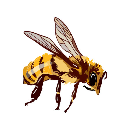 Selecting Native Plants and Marginals