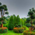 Key Design Principles for Formal and Informal Gardens