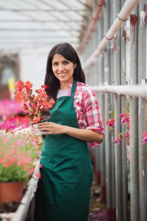 Companion Planting for Slug and Snail Defence: Plants That Work in British Climates