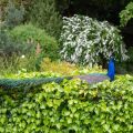 Best Practices for Protecting Winter Crops from Frost and Cold in Britain