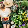The Principles of Seasonal Colour Planning in English Gardens: A Comprehensive Guide