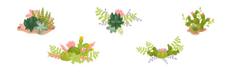 Late Spring to Early Summer: Maximising Blooms