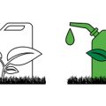 Choosing the Right Greenhouse Type for British Gardens: Glass, Polycarbonate, or Polytunnel?