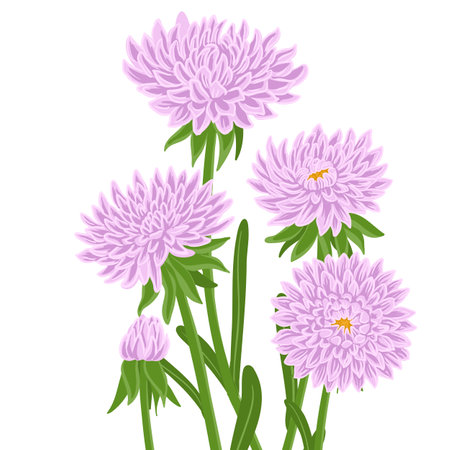 Popular Perennials in UK Gardens