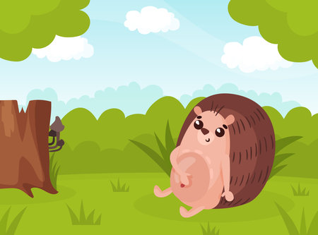 Garden Maintenance: What to Avoid