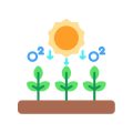 A Comprehensive Guide to Garden Lighting Solutions for UK Climates