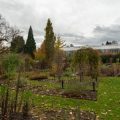 A Comprehensive Guide to Raised Bed Vegetable Gardens in the UK: Benefits, Maintenance, and Best Practices