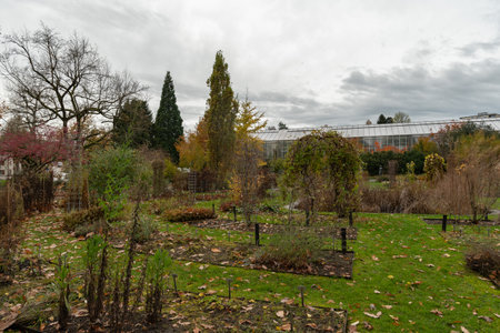 A Comprehensive Guide to Raised Bed Vegetable Gardens in the UK: Benefits, Maintenance, and Best Practices