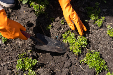 Slugs and Snails: How to Protect Your Plants with Natural Garden Sprays