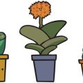 The Cost-Benefit Analysis of Hiring a Professional Pest Controller in British Gardens