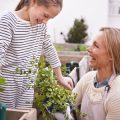 Community and Social Aspects of Organic Allotment Gardening in the UK