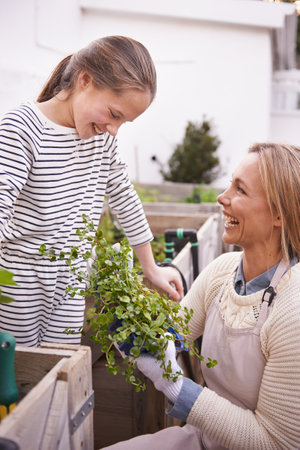 Community and Social Aspects of Organic Allotment Gardening in the UK