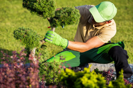 Sustainable Crop Rotation Techniques for Organic Allotments