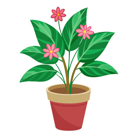 Soil, Compost, and Watering Solutions