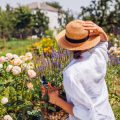 How to Plan a Formal Garden for a British Home