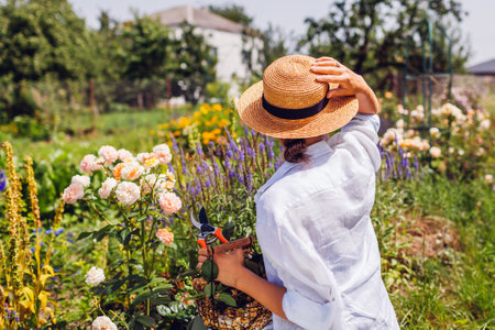 How to Plan a Formal Garden for a British Home