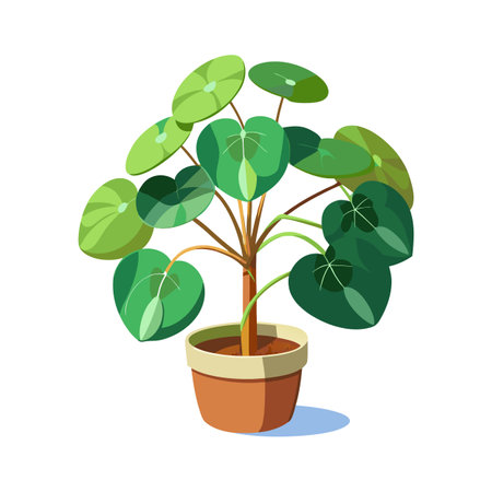Risks Posed by Excessive Garden Fungi