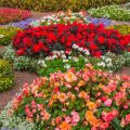 The Historical Evolution of Raised Beds and Planters in UK Gardens